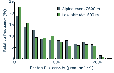 photon flux density