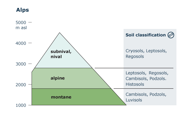 Altitudinal zones - Alps