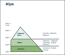 Altitudinal zones - The Alps