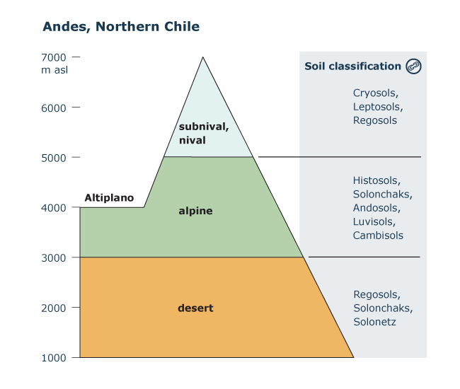 Altitudinal zones - tropical Andes