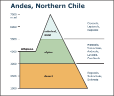 Altitudinal zones - The Andes