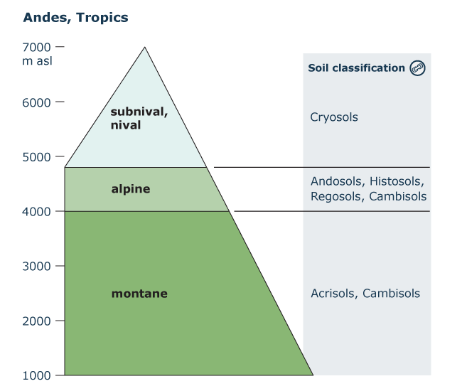 Altitudinal zones - tropical Andes