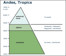 Altitudinal zones - The Andes