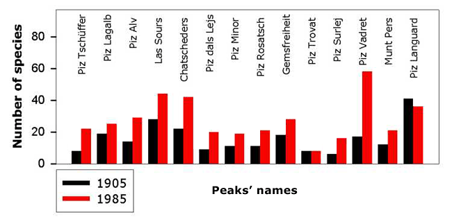 increase of species number on Alpine summits