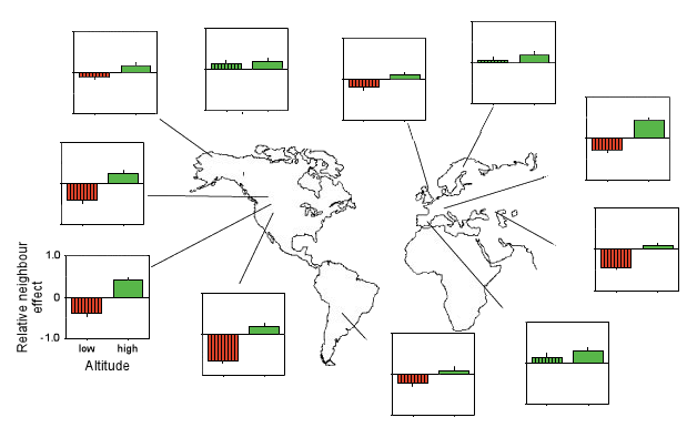 relative neighbour effect