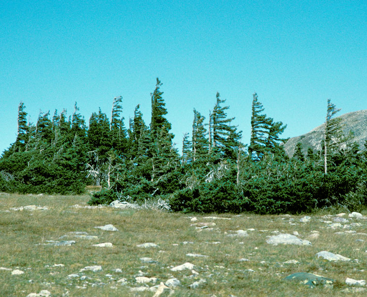 Rocky Mountains