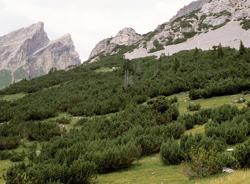 Austrian Alps