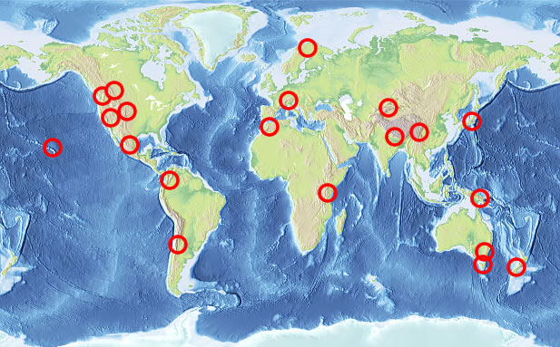 World map
