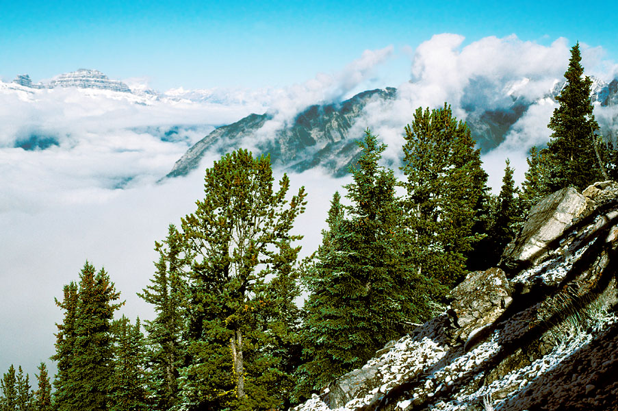 Banff National Park