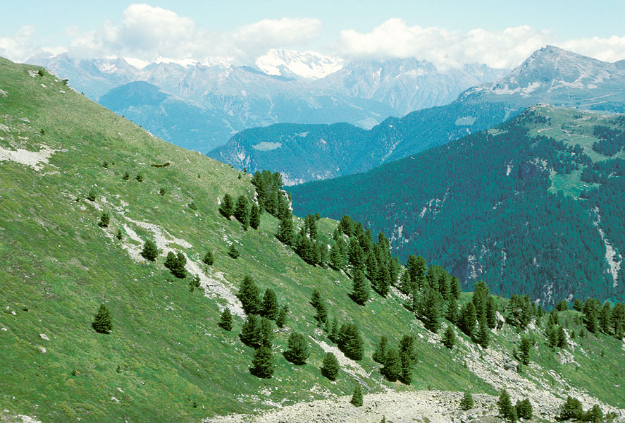 Mont Noble