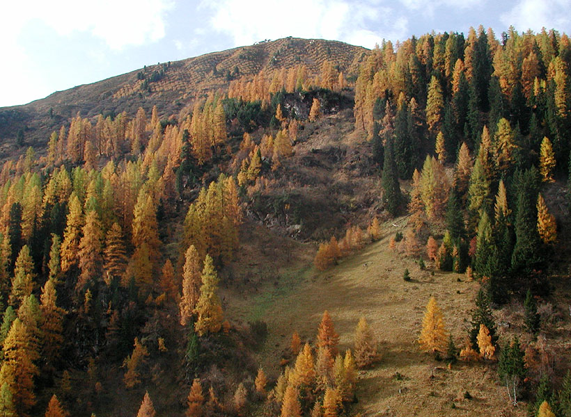 research site