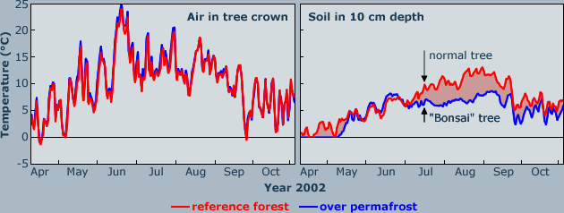 air and soil temperature