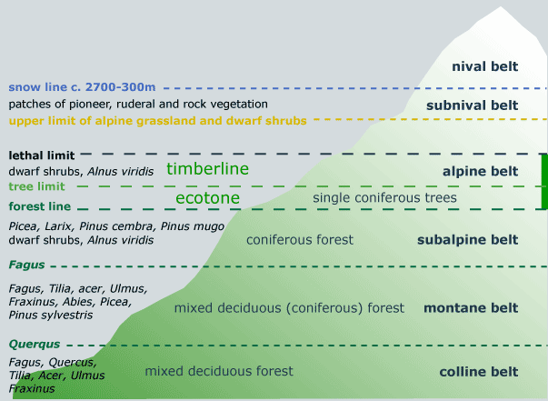 Altitudinal Zones of Swiss