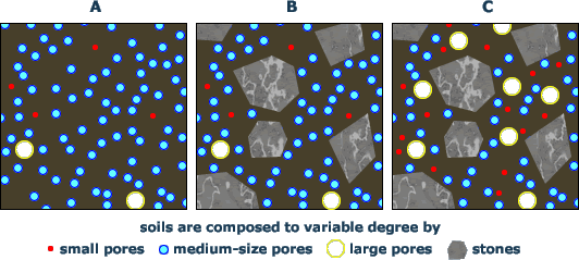 3 schematic soil types