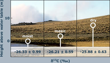 moisture gradient