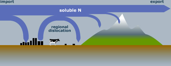 Soluble N deposition