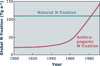 N fixation