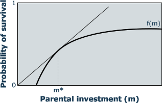 parental investment