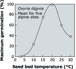 Oxyria
