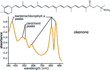 Okenone molecule and screening effectiveness