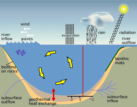 Fall again shows an absence of thermal stratification