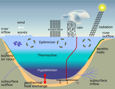 Summer stratification of lake temperatures