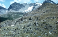 alps3