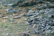 Boulder fields from the European Alps