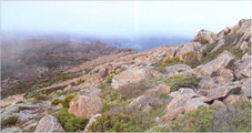 Boulder field from the Snowy Mountains of Australia