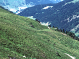 Steppe from the European Alps