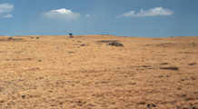 Steppe from the Ethiopian Highlands