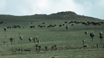 Steppe from the Ethiopian Highlands