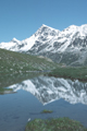 Lake and bog from the European Alps