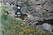 Streams from the Ethiopian Highlands