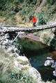 Streams from the Ethiopian Highlands