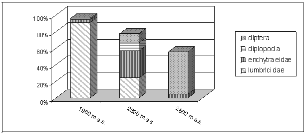 species composition in soil macrofauna decomposers 