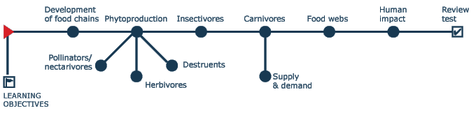 Navigation tree