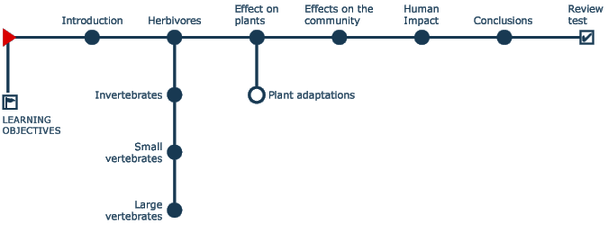 Navigation tree