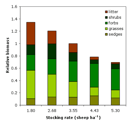 stockingrate