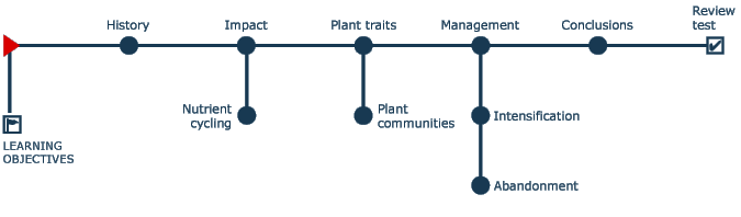 Navigation tree