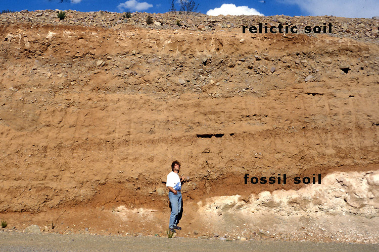 Paleosol-sediment sequence on the Argentine Altiplano