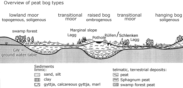 Overview of peat bog types