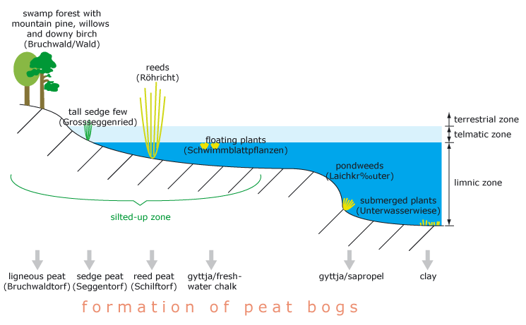 sea profile