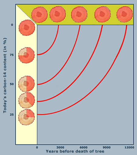 Halftime graph