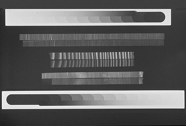 A radiogramm of prepared samples from cores.