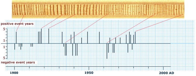 Skeleton plot