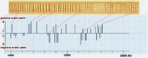 Skeleton plot