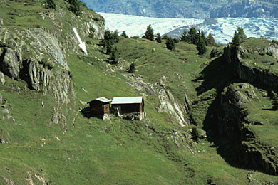 Part of the foundation below the moraine ridge from 1859/60