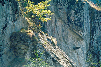 Stone wall and a beam of the "Oberriederi" irrigation system