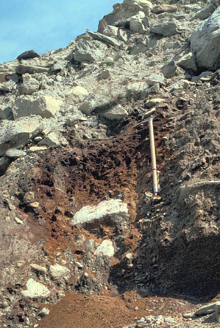 Fossil soil in the lateral moraine